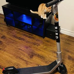 New Bird Electric Scooter