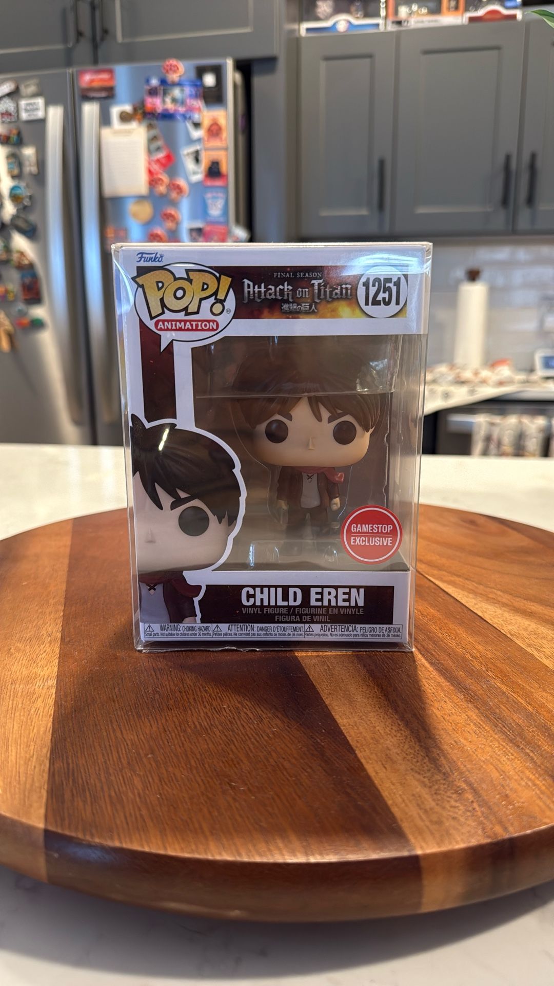 Attack On Titan Child Eren