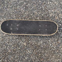 22 Inch Skateboard 