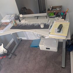 Electric Any Level Desk