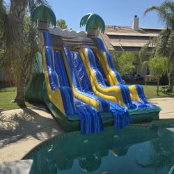 DoubleWaterslide For Sale 