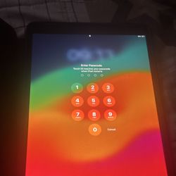 iPad Pro 256 GB