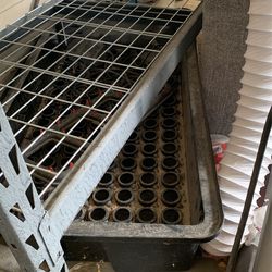 Clone Tray