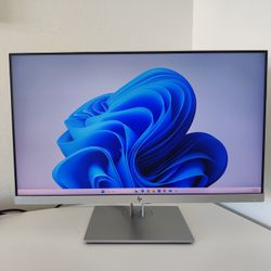 HP EliteDisplay E243 (24 inch monitor)