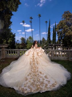 Quinseañera dress