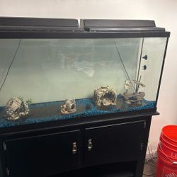 55 Gallon Fish Tank For Sale 