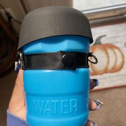 Mini Dogs Water Bottle 