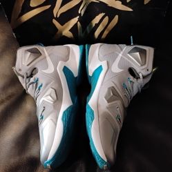 LeBron James Blue Holographic Wolf Gray 