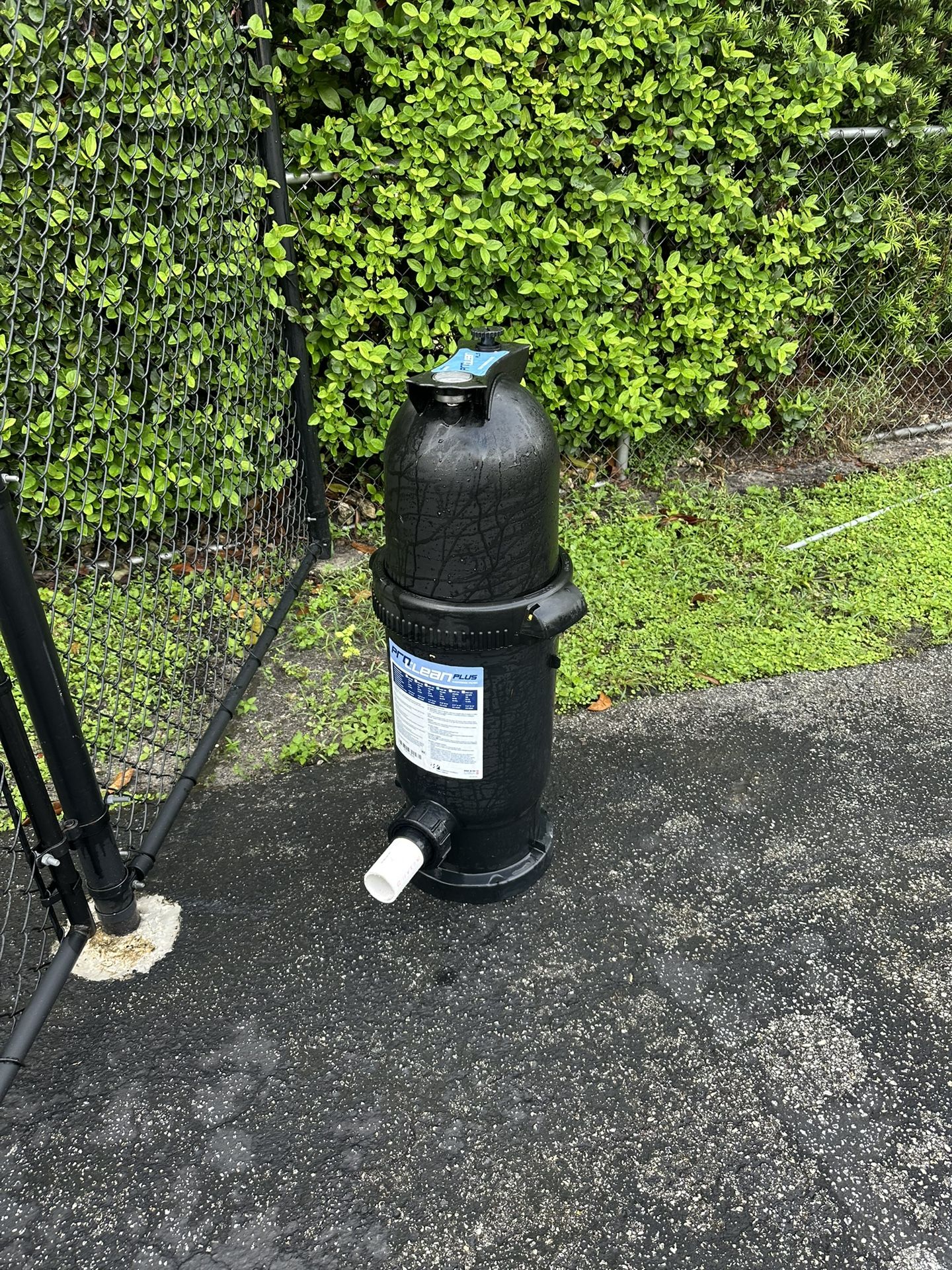 Pool Filter