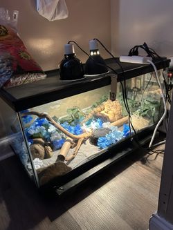 Aquarium / Terrarium Tank
