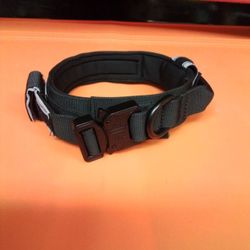 Dog Collar_NEW_$6