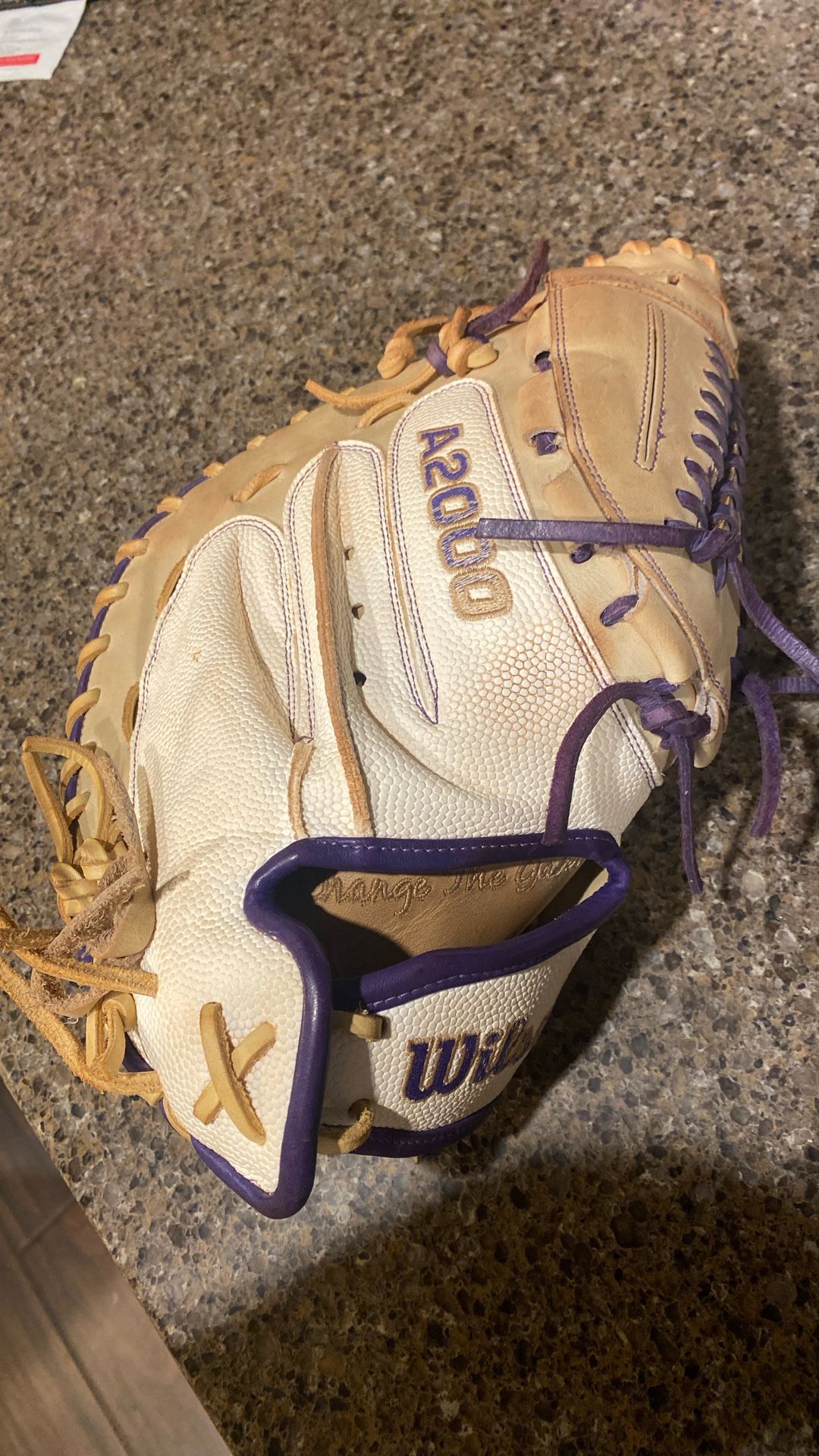 Wisdom Fastpitch Softball Catchers Mitt Catchers Glove A2000