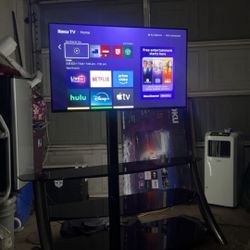 Tv Entertainment 