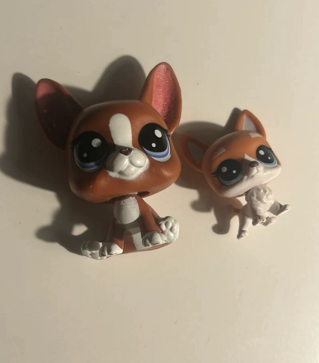 LPS dogs