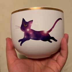 Sailor moon Luna Ramen Bowl