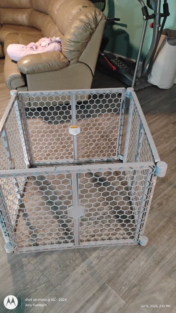 Dog Kennel/Gate