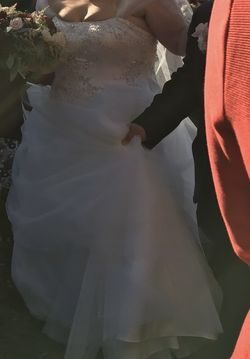Plus Size Wedding Gown 