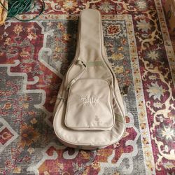TAYLOR  GUITAR CASE   (soft, padded)