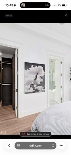 Diver Photographic Wall Art