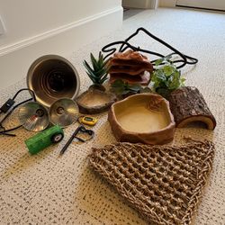 Corn Snake Essential Supplies