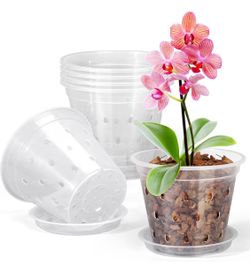 Clear Plastic Orchid Pots with Drainage Holes
