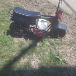 Mini Bike 