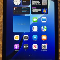 iPad mini A 17 pro