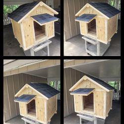 Dog Supplies 