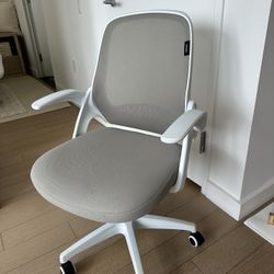 Office Desk Chair