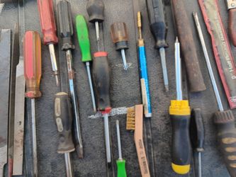 Variety of tools , from screwdrivers , to philips and files and more.