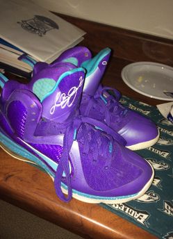 Hornet 9 Lebron