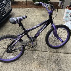 20 Inch Girls Bike