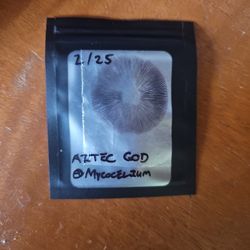 Limited Quantity: Mycology Spores