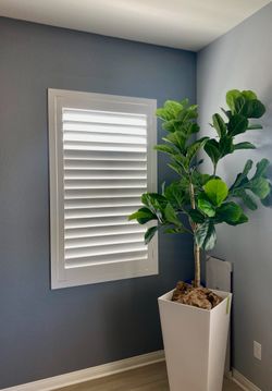Custom Basswood Plantation Shutters & Expert Installation - Real Wood Interior Window Coverings (Persianas de Madera Estilo Plantacion)