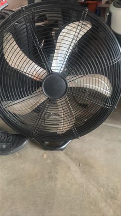 Fan