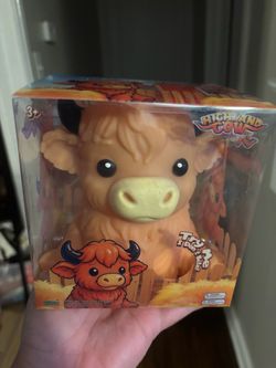 Tan highland cow