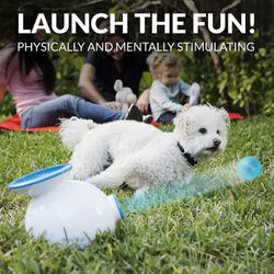 Ifetch  Ball Launcher For Dogs  Thumbnail