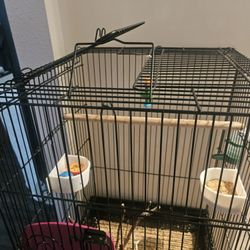 Bird Cage