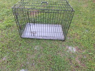 Dog  Cage  