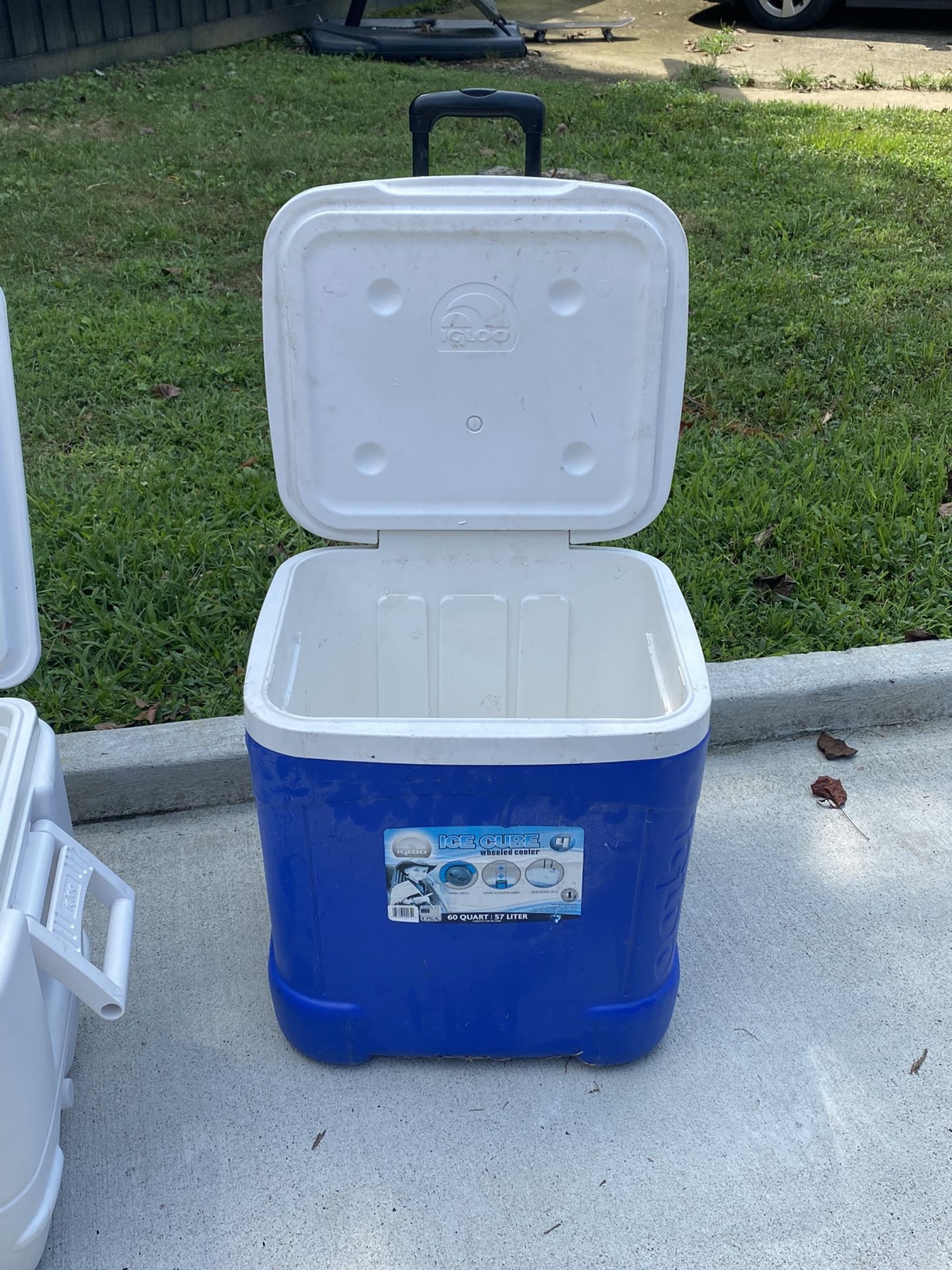 Igloo cooler