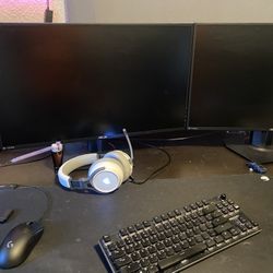 Gaming Monitor (just One) 