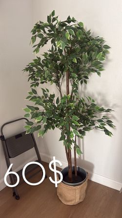 House tree