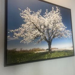 Beautiful big! Perfect condition, canvas.