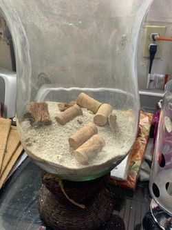 Clear Vase With A Wicker Base