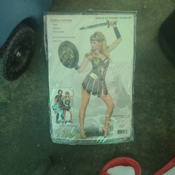 Costum Queen Of Swords