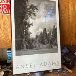 Ansel Adam’s Prints 