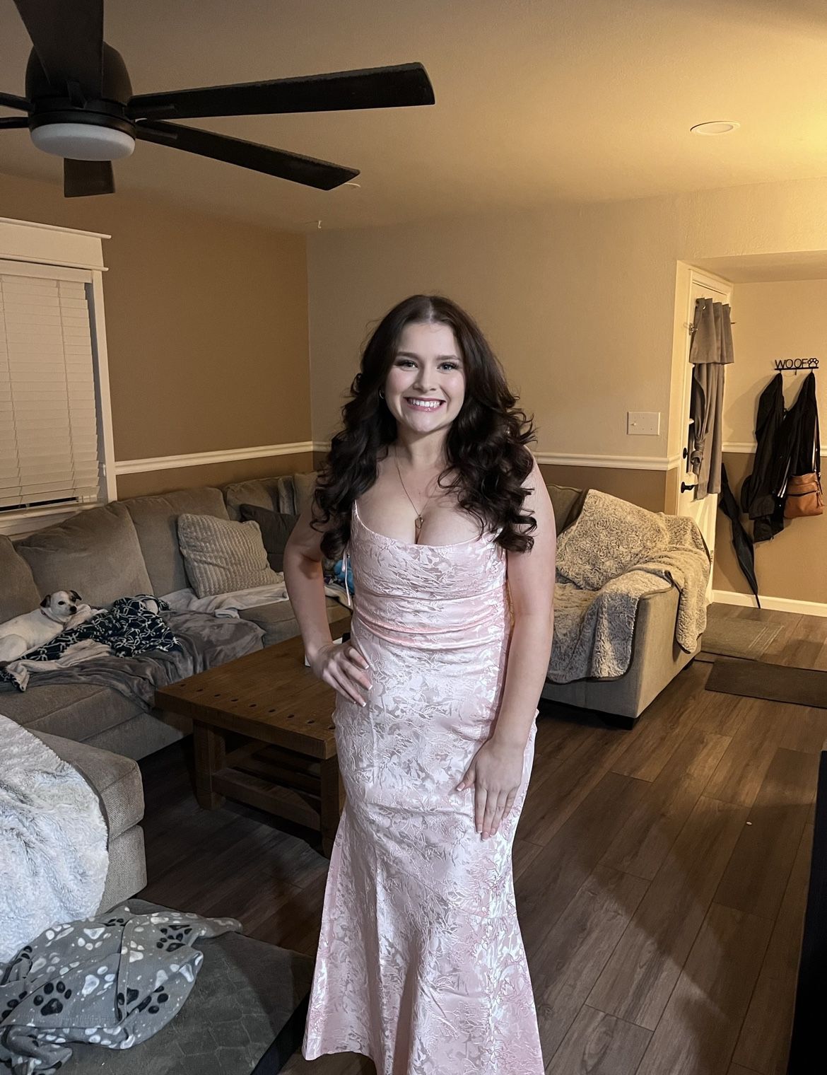 Blush Maxi Dress Prom/Formal