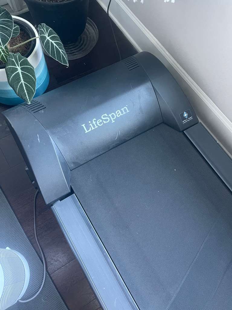 Walking Pad Treadmill Life Span