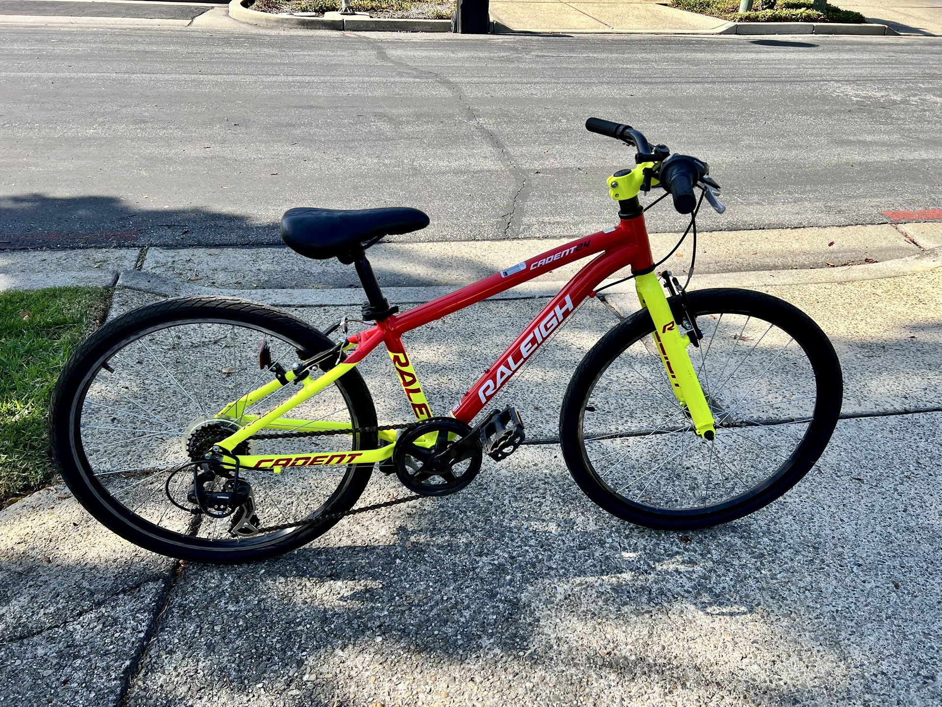 Kids Raleigh Bicycle Bike, 24 Inch