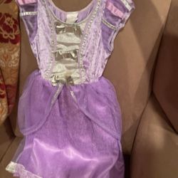 Little Girls Princess Dress